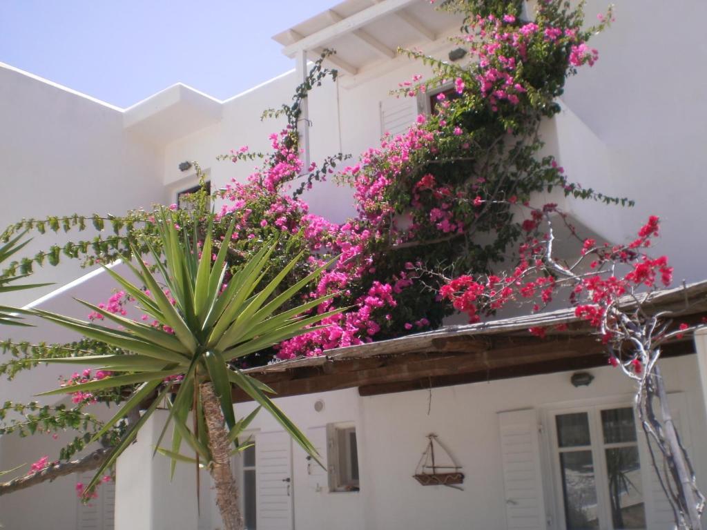 Paros Rita Studios Пісо-Ліваді Екстер'єр фото