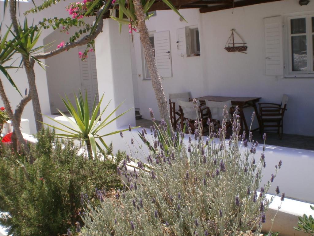 Paros Rita Studios Пісо-Ліваді Екстер'єр фото